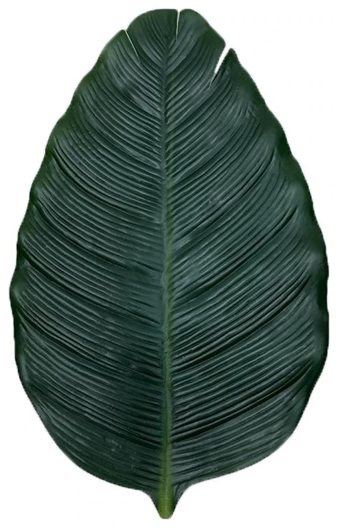 Almond Green Leaf 24x40cm